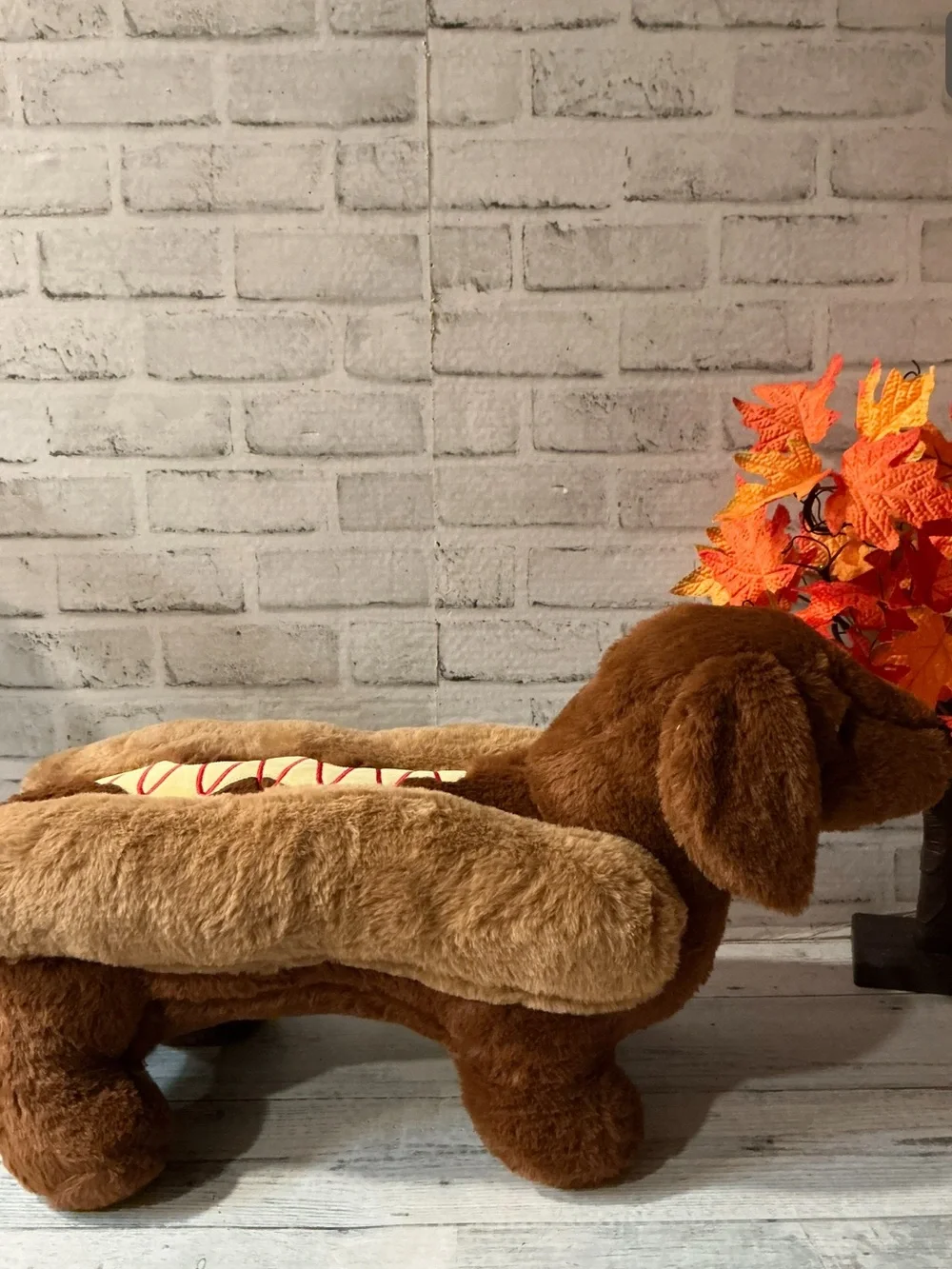 Humane World For Animals nwt brown
